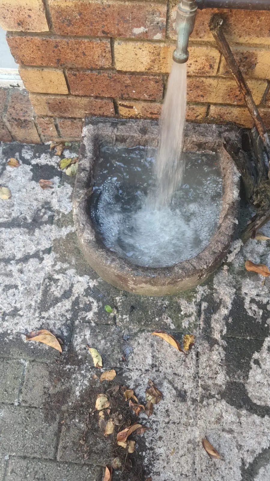 Blocked drain cleaning in Bassonia – cleared blockage (24/7)