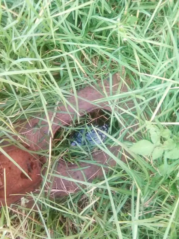 Blocked drain cleaning in Carlswald – cleared blockage (24/7)