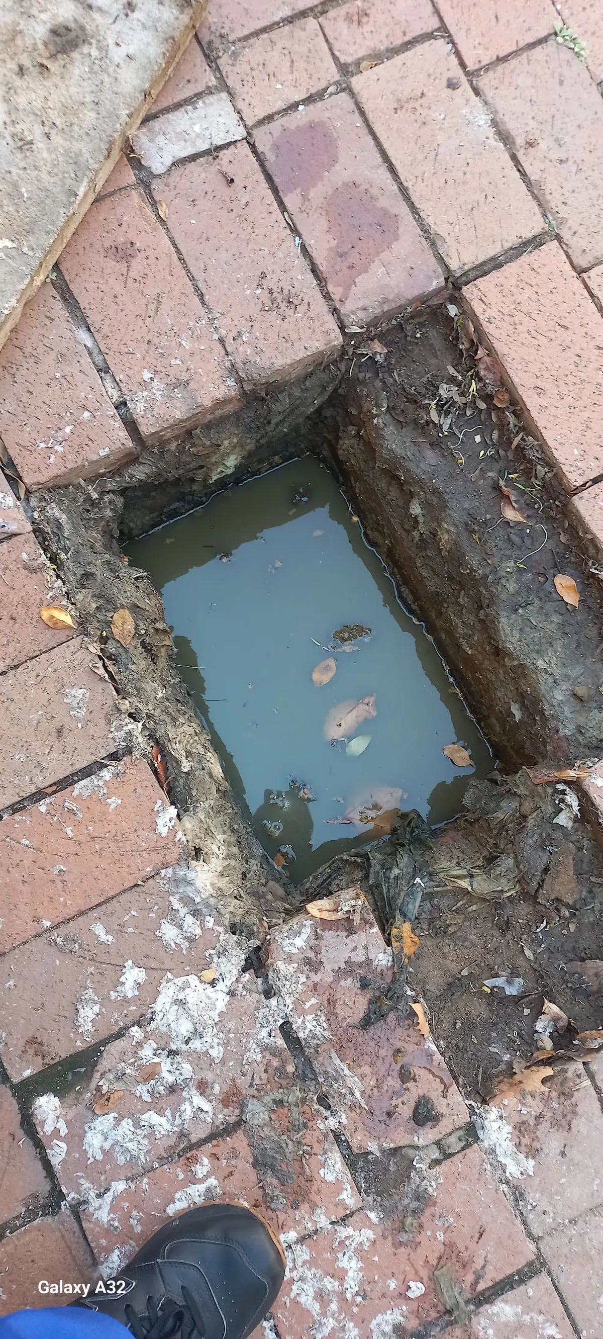Emergency drain unblocking in Crown Mines Emergency drain unblocking in Crown Mines – pricing & 24/7 call-out