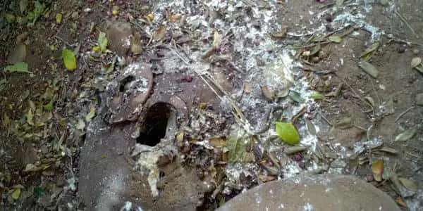 Blocked drain cleaning in De Deur – cleared blockage (24/7)