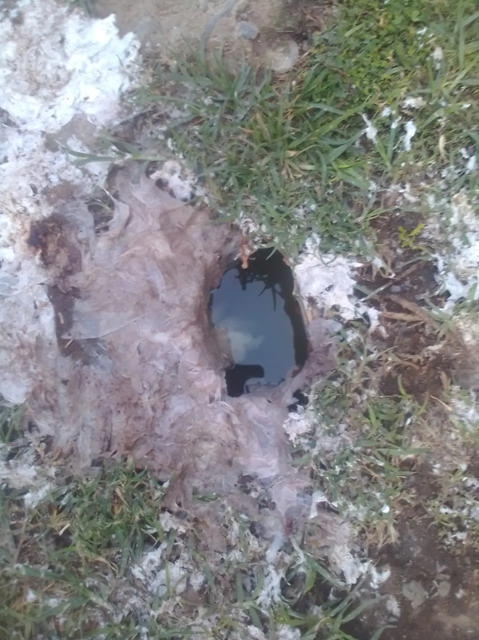 Blocked drain cleaning in Faerie Glen – cleared blockage (24/7)