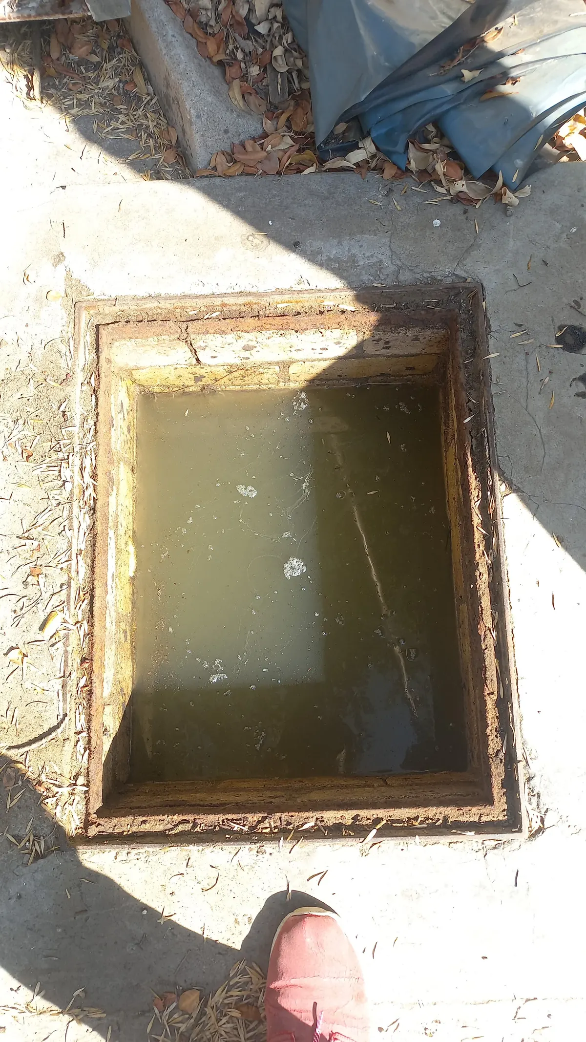 Blocked drain cleaning in Halfway Gardens – real blockage cleared