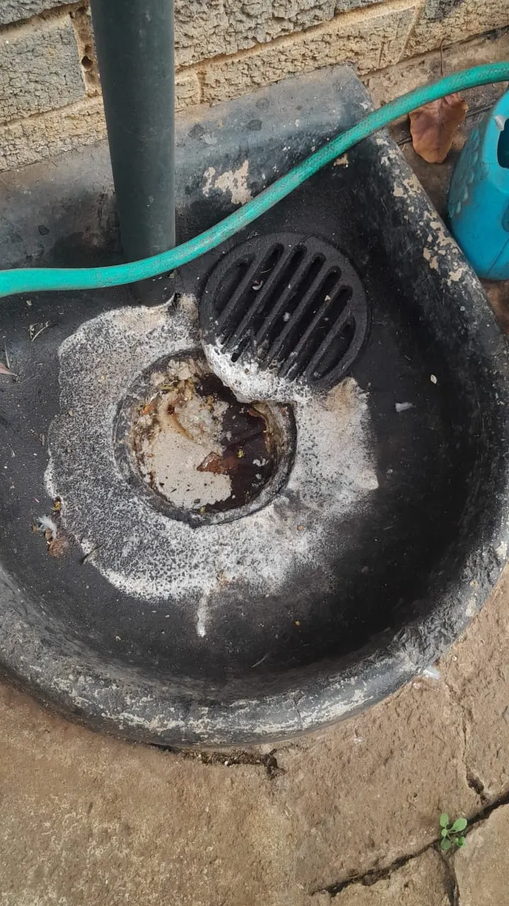 Blocked drain cleaning in Kensington – real blockage cleared