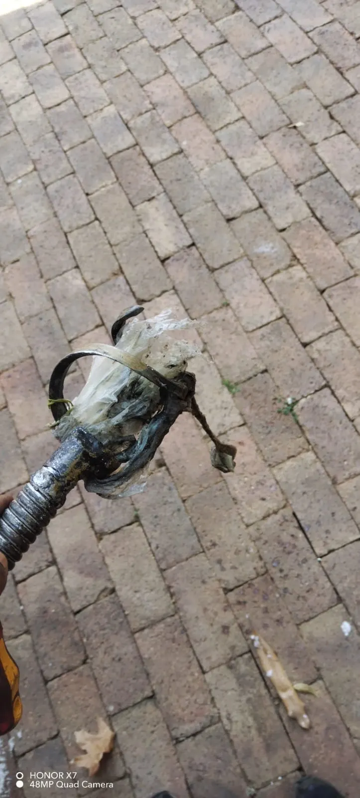 Blocked drain cleaning in Kyalami – real blockage cleared