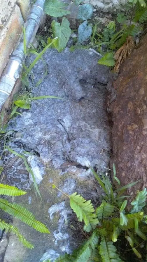 Emergency drain unblocking in Linden – 24/7 service