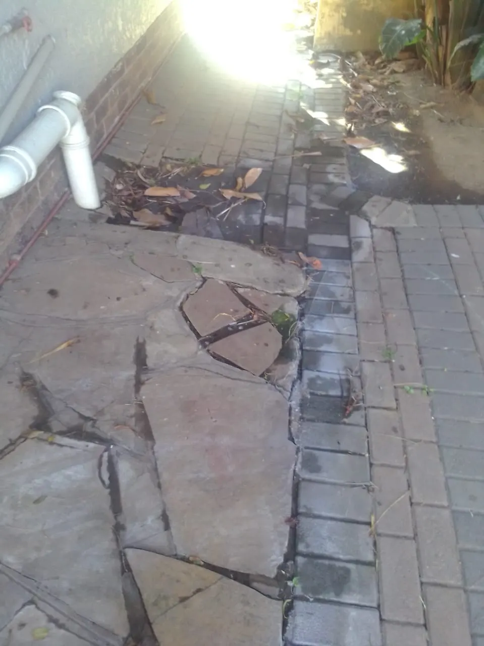 Blocked drain cleaning in Lyttelton – real blockage cleared