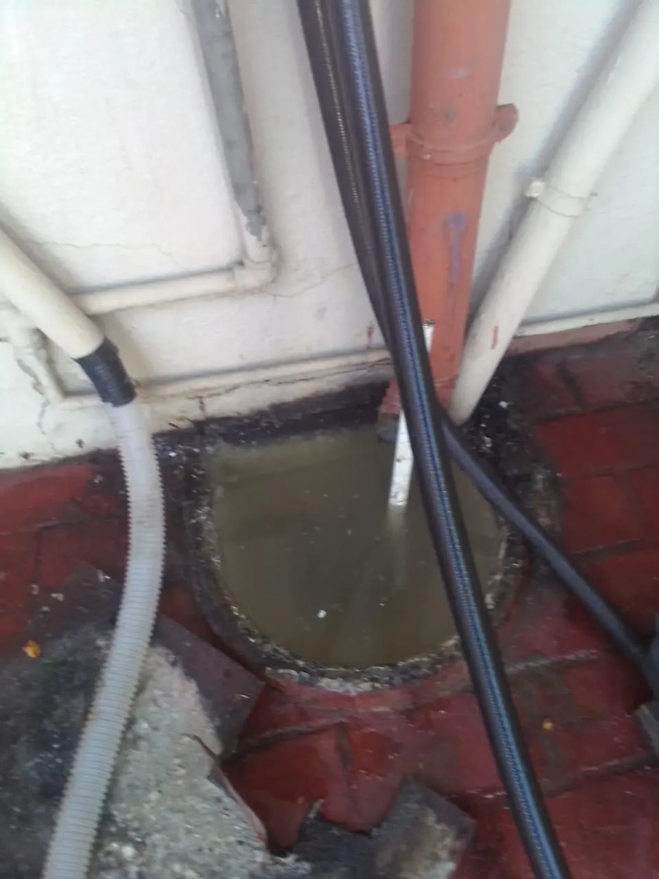 Same-day drain unblocking in Morningside