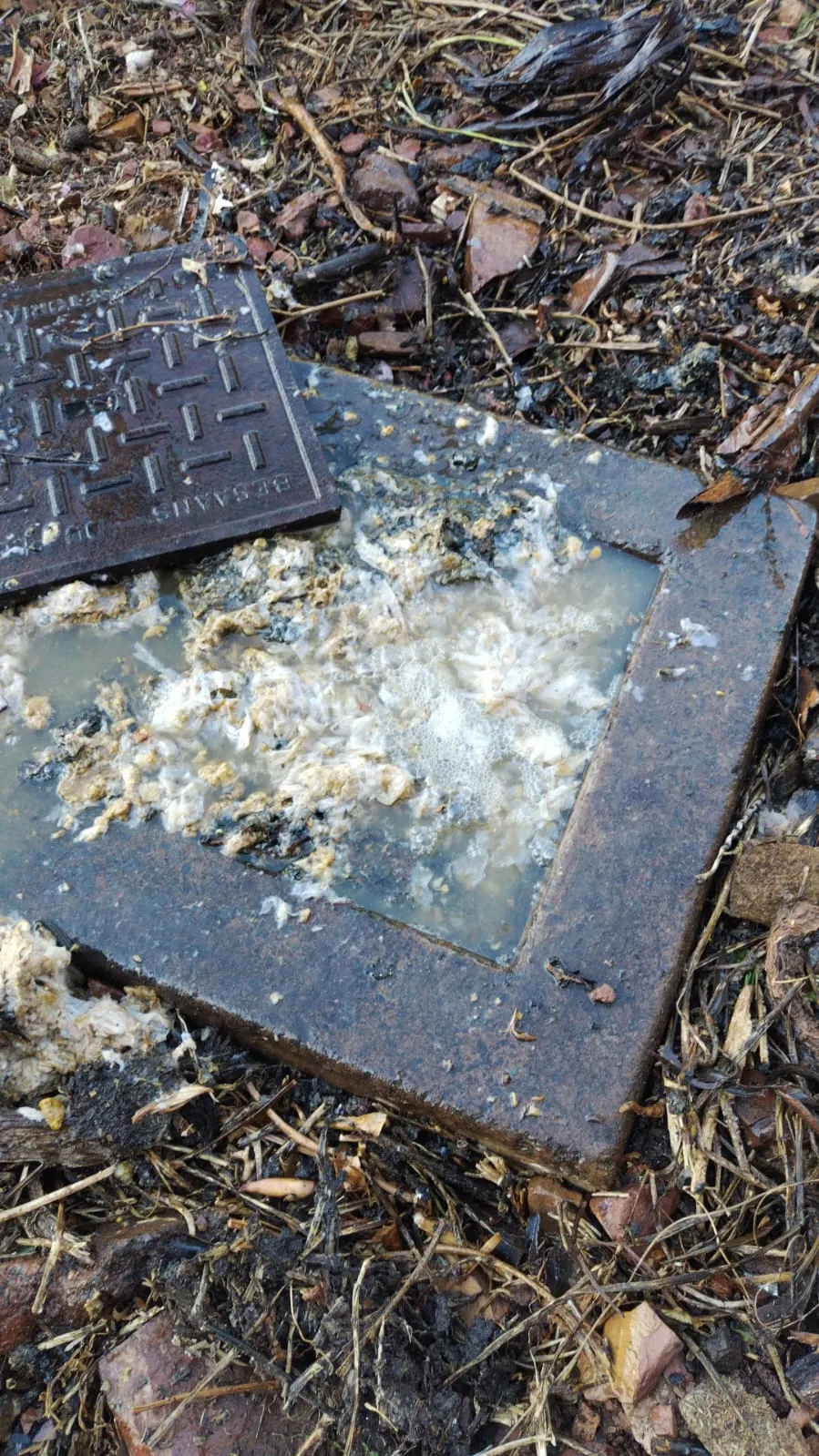 Blocked drain cleaning in Morningside – severe blockage removed