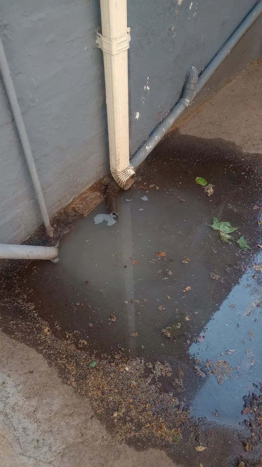Blocked drain cleaning in Naledi – severe blockage removed