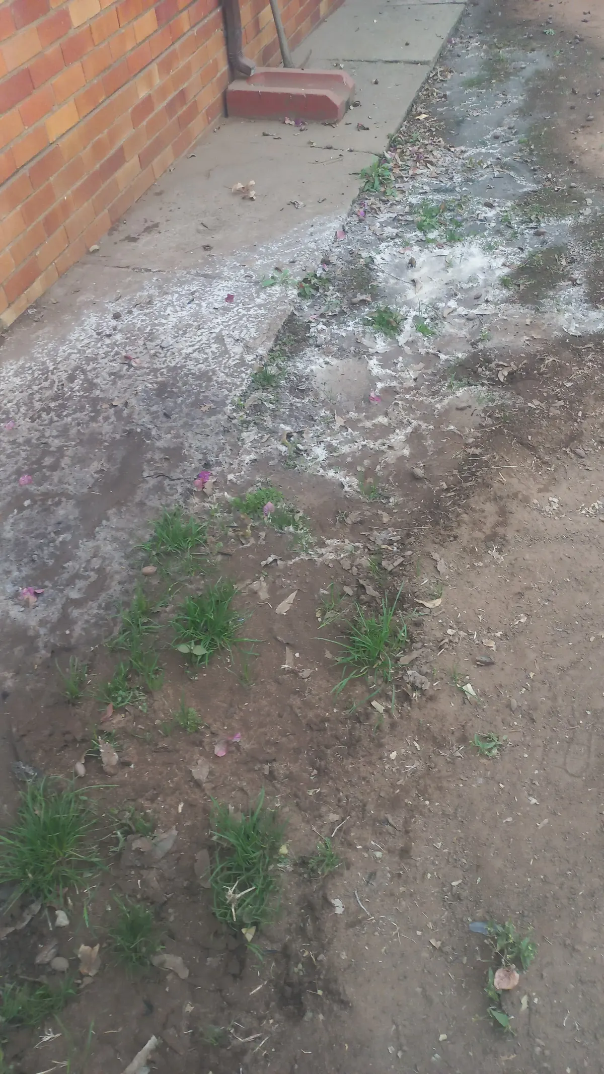 Same-day drain unblocking in Olievenhoutbosch