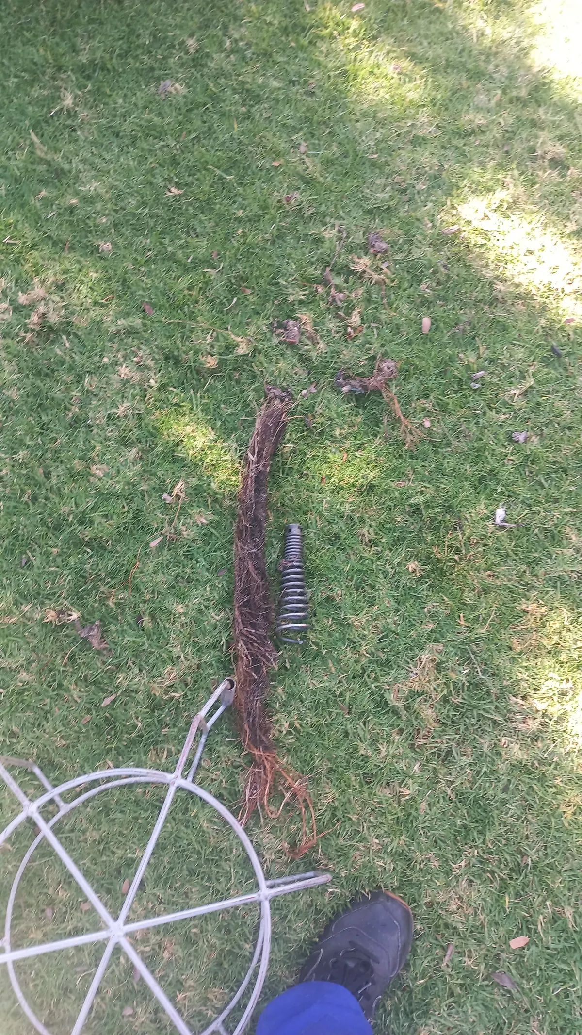 Same-day drain unblocking in Paulshof