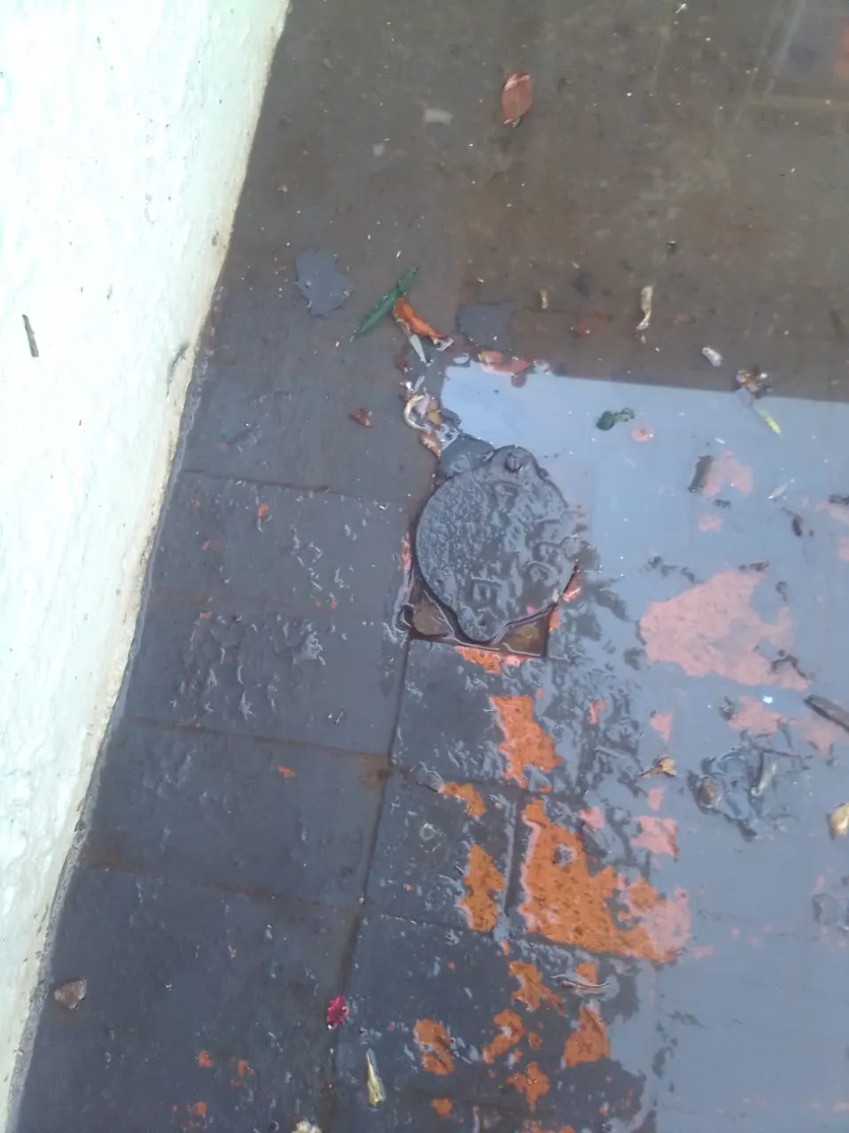 Same-day drain unblocking in Rabie Ridge