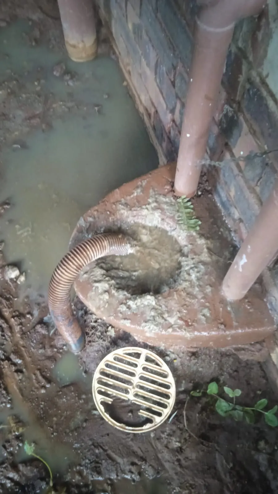 24/7 emergency drain unblocking in Rosebank