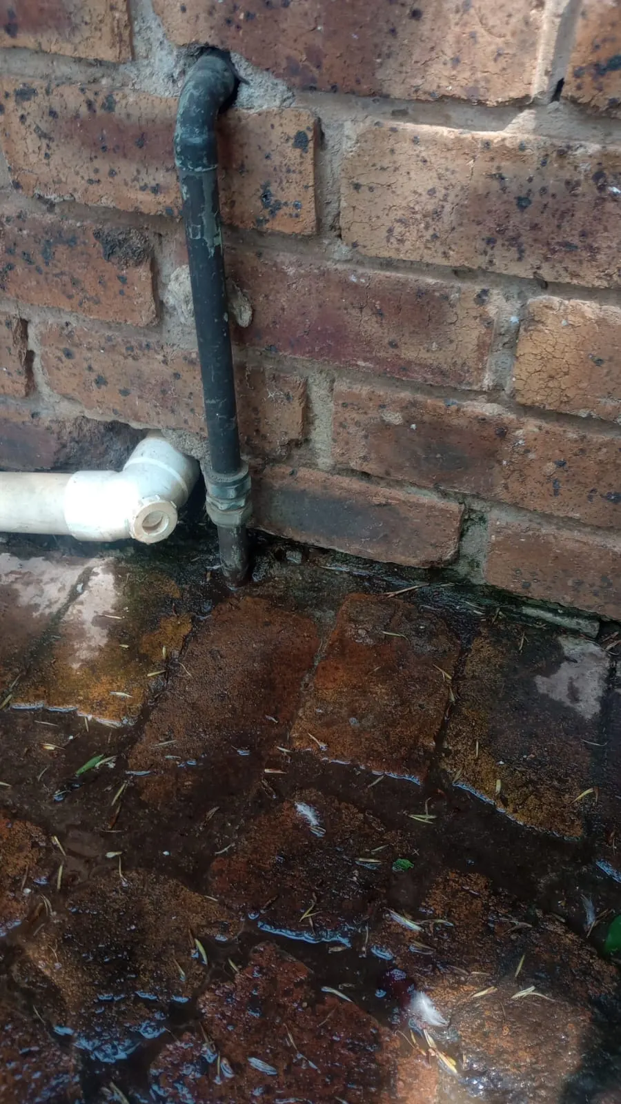 Blocked drain cleaning in Sunninghill – professional drain clearing