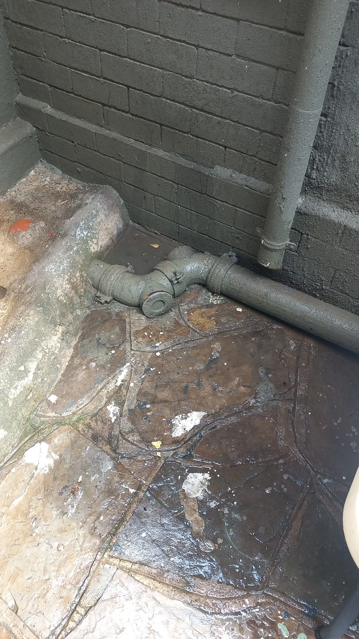 24/7 emergency drain unblocking in Zola