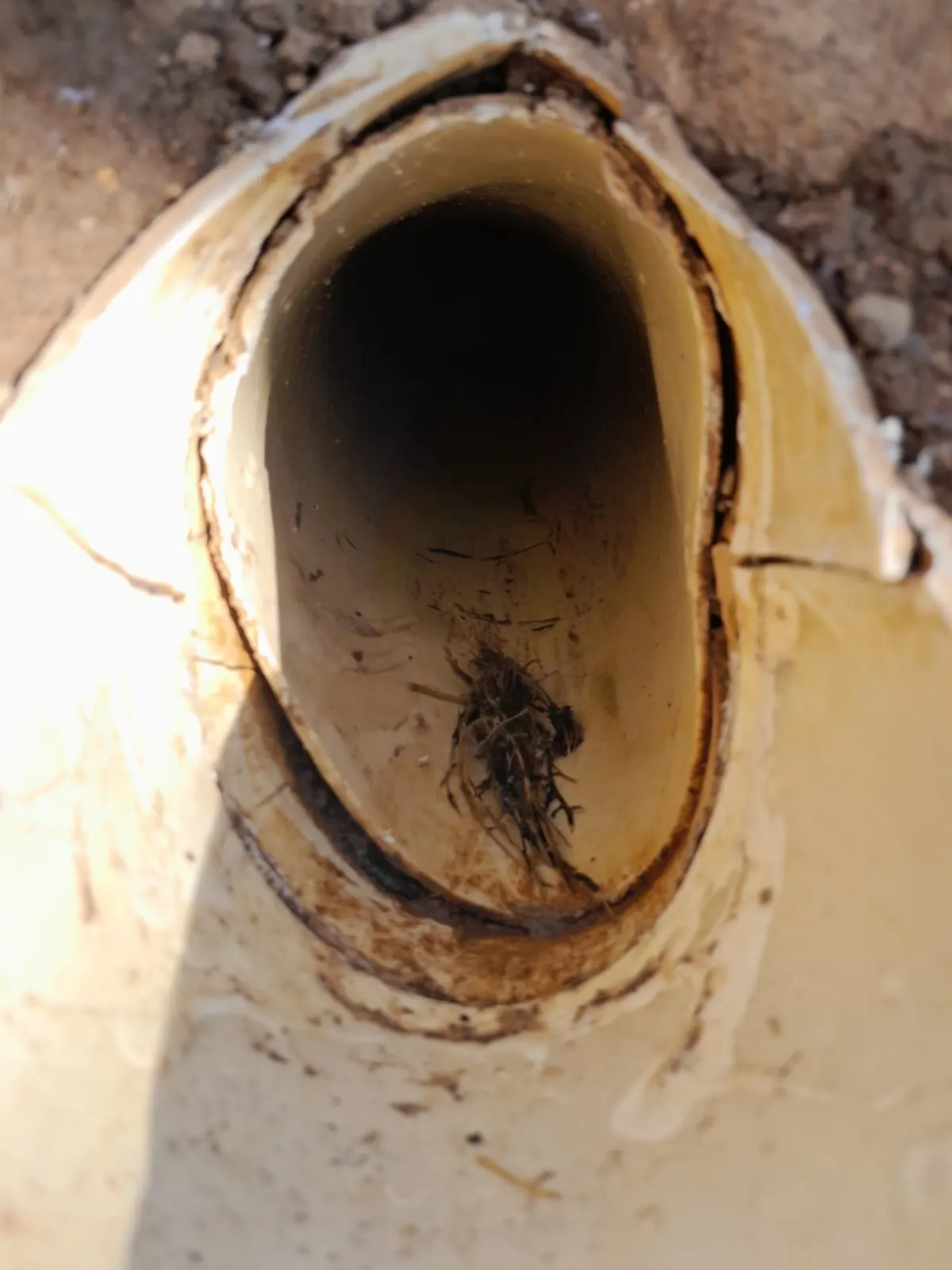 Blocked drain cleaning in Zola – professional drain clearing